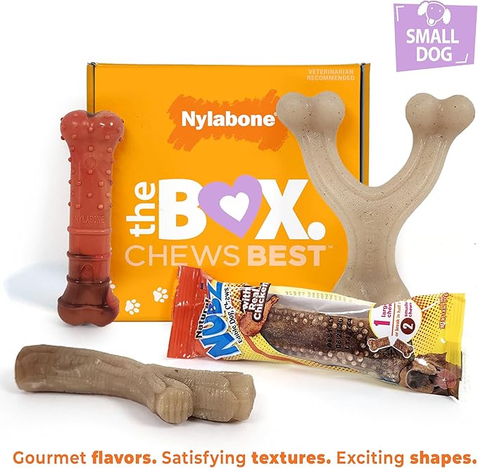 Nylabone Dog Gift Box for Small Dogs - 3 Strong Chew Toys and 1 Dog Treat - Flavor Variety, Small/Regular (4 Count)