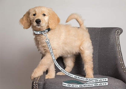 NFL PET Leash, Medium, New York JetsDog Leash, Football Team Leash for Dogs & Cats. A Shiny & Colorful Dog & Cat Leash with Embroidered Team Name/Logo Licensed by the NFL