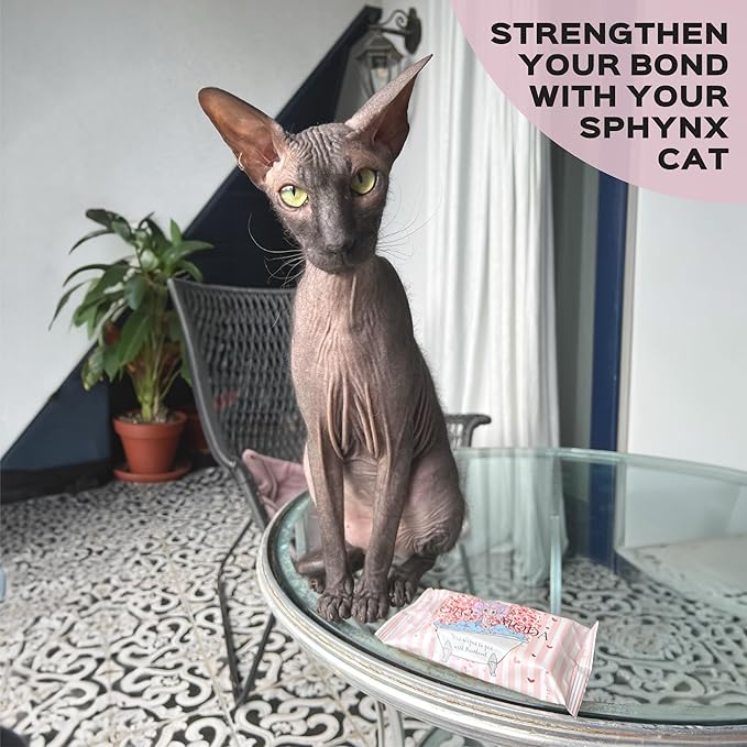 Wet wipes with Panthenol for sphynx cat for everyday use (1Pack/15Count)