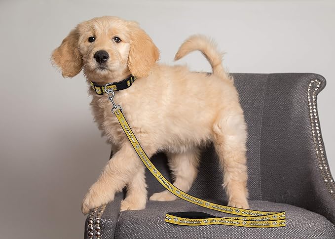 Pets First NHL Nashville Predators Leash for Dogs & Cats, Medium. - Walk Cute & Stylish! The Ultimate Hockey Fan Leash!, 4 ft Long x 0.62 in Width, PRD-3031-MD