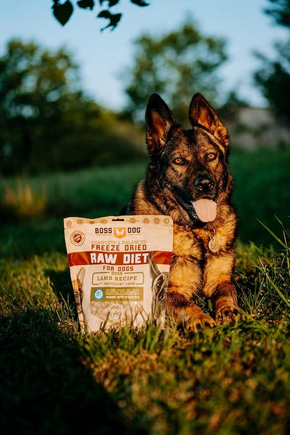 Boss Dog Brand Complete & Balanced Freeze Dried Raw Diet for Dogs 12oz Bag (Lamb)