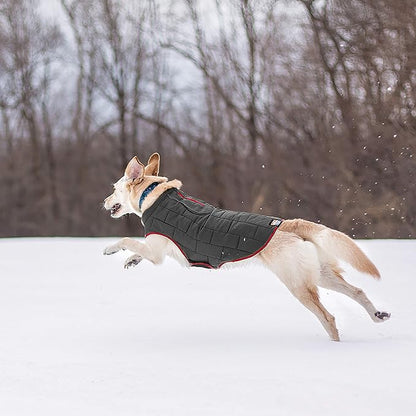 Kurgo Loft Dog Jacket, Reversible Dog Coat, Wear with Harness or Sweater, Water Resistant, Reflective, Winter Coat for Medium Dogs (Chili Red, M)