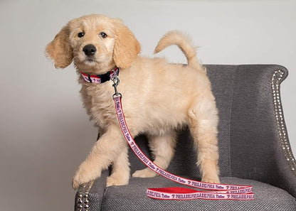 MLB PHILADELPHIA PHILLIES Dog Leash, Small