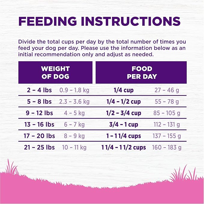 Wellness Complete Health Toy Breed Dry Dog Food with Grains, Chicken & Rice, 4-Pound Bag