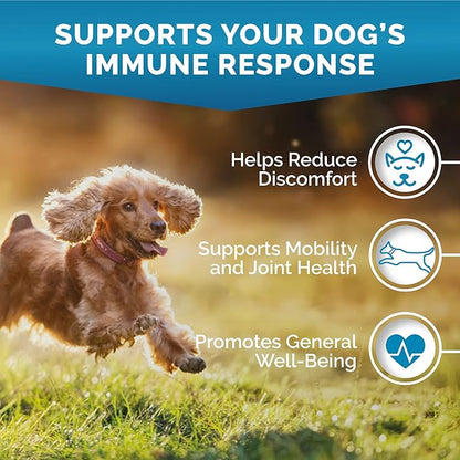 Premium Care Glucosamine Chews for Dogs with Hemp - Hip and Joint Health Supplement for Mobility Support - Dog Glucosamine Chews with Hemp for Dogs- 120 Hemp Treats