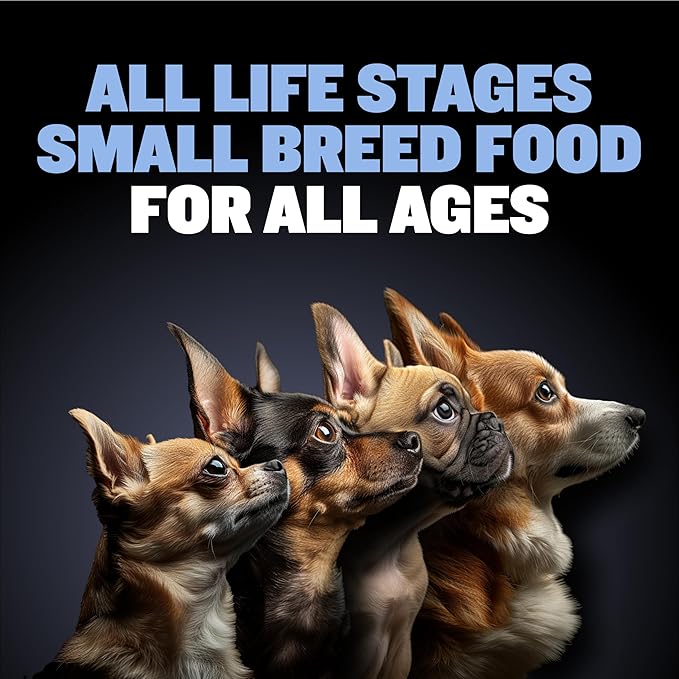 Bully Max 26/14 Small Breed Dry Dog Food for Skin, Coat & Sensitive Stomach - Chicken & Rice, Dry Soft Kibble Bites for Puppies, Adult & Senior Dogs - Natural French Bulldog Puppy Food, 10 lbs