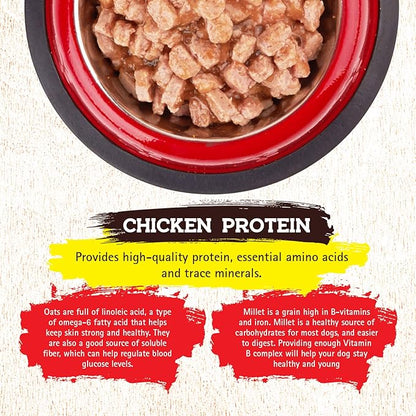 Inception® Wet Dog Food Chicken Recipe – Complete and Balanced Dog Food – Meat First Legume Free Wet Dog Food – 12/13oz case