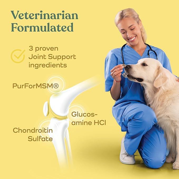 Advanced Dog Joint Supplement - Nutritious Treat Hip and Joint Chews for Dogs - Joint Supplement for Dogs with Glucosamine, Chondroitin, & MSM + Vitamins C for Dog Joint Relief - Chicken - 90 Count