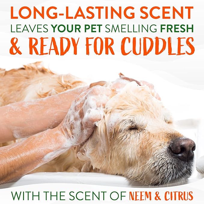 TropiClean Citrus & Neem Oil Flea Shampoo for Dogs | Tick and Flea Bite Relief for Dogs | Natural Dog Shampoo Derived from Natural Ingredients | Made in the USA | 20 oz.
