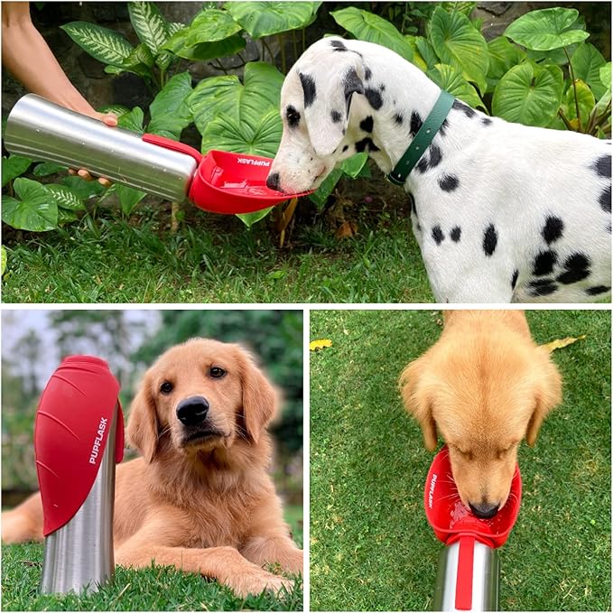 PupFlask Large Dog Water Bottle | 27 or 40 OZ Stainless Steel | Convenient Dog Water Dispenser | Puppy Travel Water Bowl | Portable Pet Water Bottle | Leak Proof Bottle Perfect Size For All Dog Breeds
