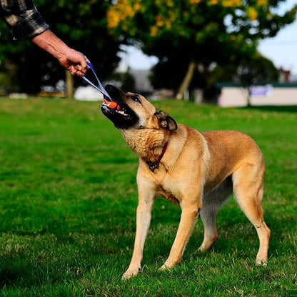 Chuckit Ultra Tug Dog Toy, Large Fetch and Dog Ball Tug Toy for Dogs 60-100 Pounds