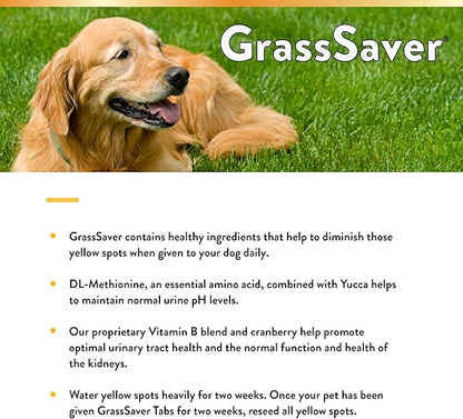 NaturVet – GrassSaver Supplement for Dogs – Healthy Supplement to Help Rid Your Lawn of Yellow Spots – Synergistic Combination of B-Complex Vitamins & Amino Acids – 500 Tablets