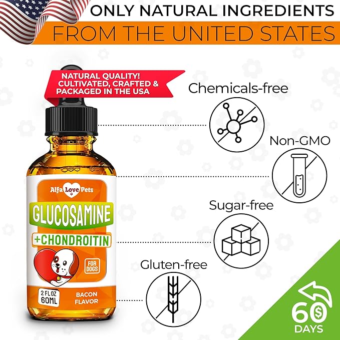 Glucosamine for Dogs Liquid ✿ Hip and Joint Supplement Dogs Liquid ✿ Dog Joint Supplement Liquid ✿ Glucosamine for Small Dogs ✿ Liquid Glucosamine for Dogs ✿ Bacon Flavor ✿ 2 Oz