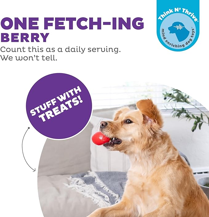 Outward Hound Foodies Carrot Strawberry Treat-Dispensing Dog Chew Toy, Pink