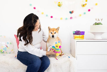 Pearhead Puppy Pinata Dog Toy, Rope Tug Toy for Dogs, Colorful Interactive Dog Toys, Party Pinata Toy for Dogs, Plush Chew Toy, Pet Owner Must Have Toy
