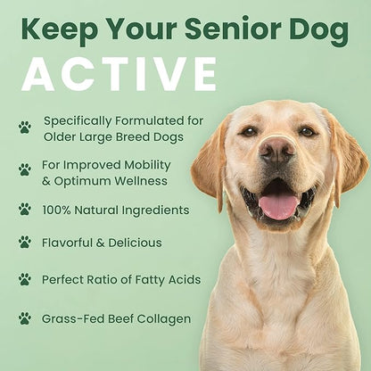Veterinary Naturals Hemp & HIPS Joint Supplement for Dogs - 60 Soft Chews for Dog Hip and Joint Supplement with Glucosamine for Dogs, MSM, & Turmeric (Rotisserie Chicken)