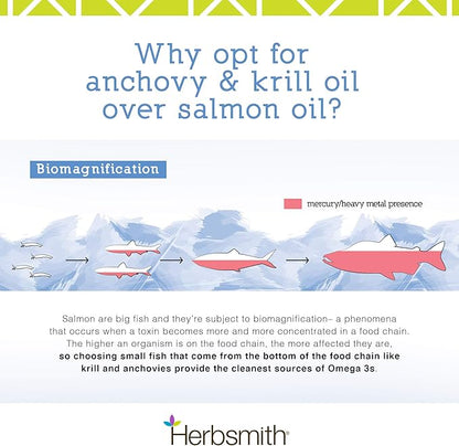 Herbsmith Glimmer - Dog Healthy Skin and Coat + Dog Treatment for Dry Itchy Skin - Omega-3 Supplement for Dogs - 60ct Large Chews