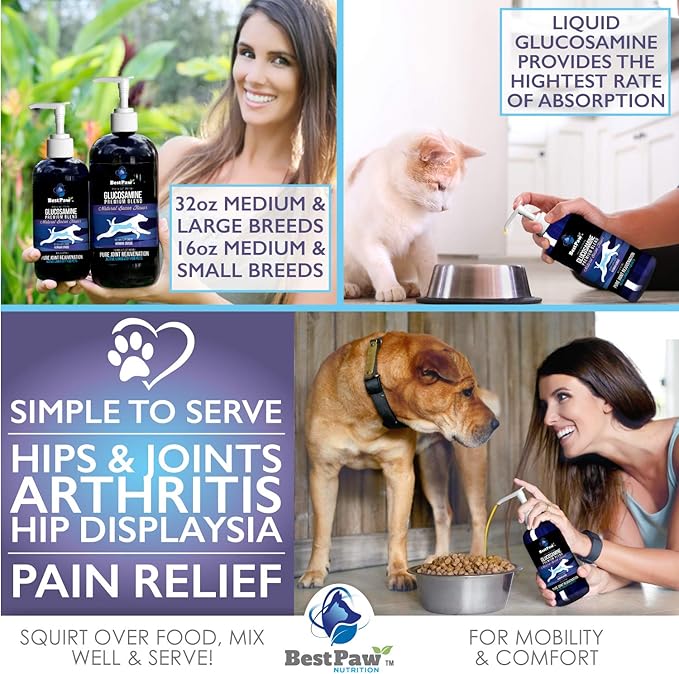 Best Paw Nutrition - Bacon Flavor Liquid Glucosamine for Dogs & Cats - Chondroitin, MSM, Hyaluronic Acid - Dog Arthritis Home Remedy - Joint Supplement for Hip & Joint Pain Relief Pets Love - 16oz
