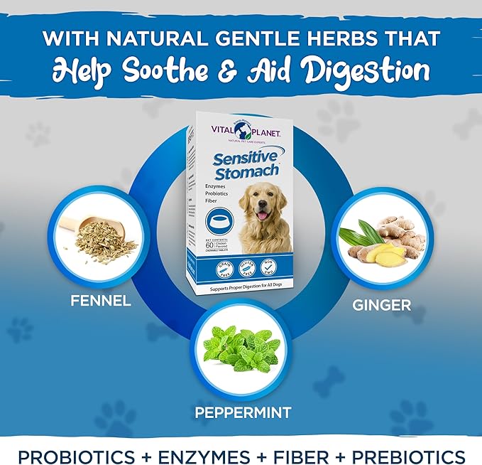 Vital Planet - Sensitive Stomach for Dogs with Enzymes, Probiotics and Fiber, Natural Digestive Support for Upset Stomach with Fennel, and Peppermint, 60 Chicken Flavored Chewable Tablets