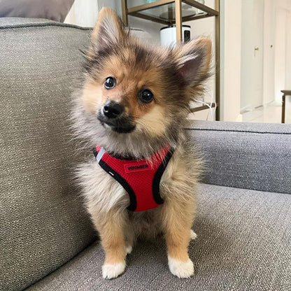 Voyager Step-In Air Dog Harness - All Weather Mesh Step in Vest Harness for Small and Medium Dogs by Best Pet Supplies - Red Base, L