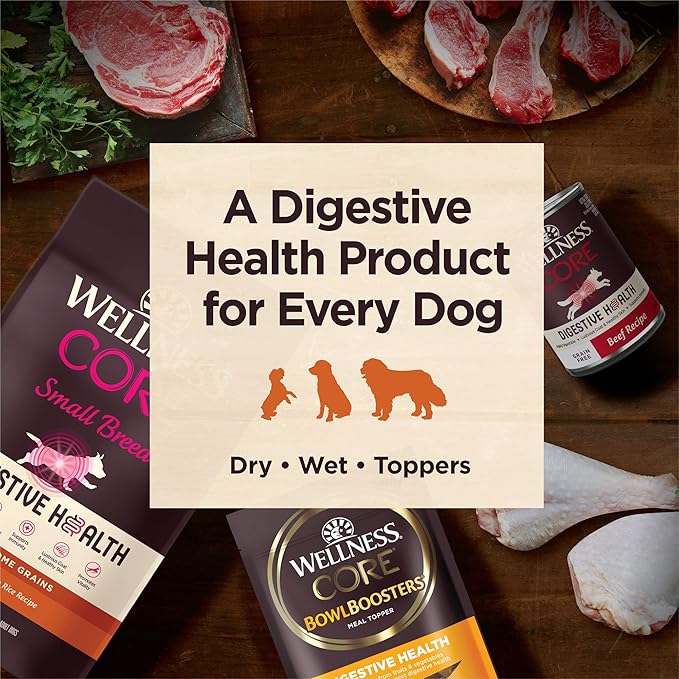 Wellness CORE Digestive Health Lamb Grain Free Wet Dog Food, 13 Ounce (Pack of 12)