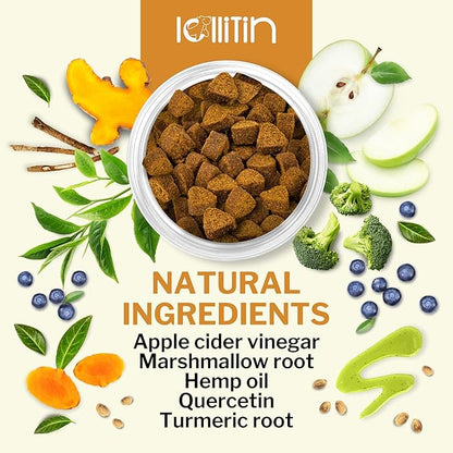Allergy Relief for Dogs - 120 Chews - Seasonal Allergy, Immune Support, Skin and Coat Health - All Natural, Made in USA