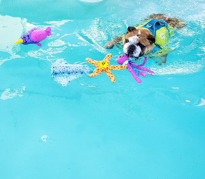 Outward Hound Floatiez Clownfish Floating Interactive Dog Toy, Small