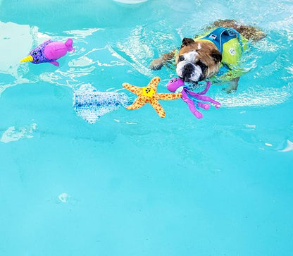 Outward Hound Floatiez Clownfish Floating Interactive Dog Toy, Small