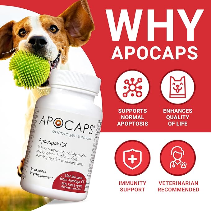 Apocaps CX Apoptogen Formula for Dogs, 90 Count (Pack of 1)