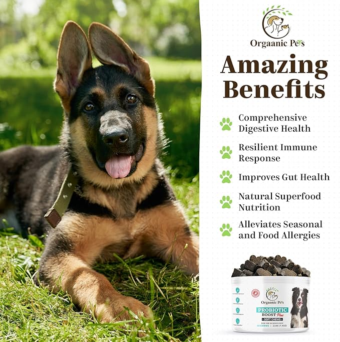 Ultimate Dog PROBIOTIC Chews - Boosts Gut Health and Eases Allergies with PROBIOTICS, POSTBIOTICS, PREBIOTICS (FOS) Inulin - Colostrum - Glutamine - Mushrooms -Pumpkin-QUERCETIN and a SUPERFOOD Blend