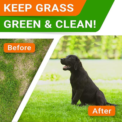 Grass Burn Spot Chews for Dogs - Dog Urine Neutralizer for Lawn - Dog Pee Lawn Spot Saver - Natural Treatment Caused by Dog Urine - Grass Treatment Rocks -DL-Methionine+Enzymes - 120 Chew
