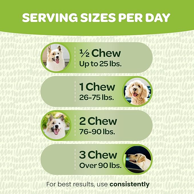 Probiotic Chews for Dogs Gut Health | Tasty Pro and Prebiotics for Dogs Digestive Health Immunity Itchy Skin & Seasonal Allergy Support with Pumpkin Dog Probiotics and Digestive Enzymes | 90 Chews