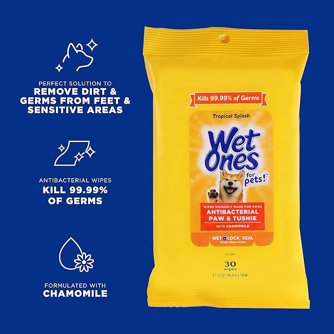 Wet Ones Mixed 18 Piece Bundle of Human & Pet Wet Wipes, Tropical Splash Scent| 10 Packs Antibacterial Wipes, 20 Ct Plus 8 Packs for Pets Paw & Tushie Dog Wipes, 30ct