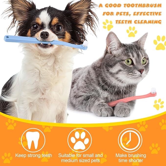 Yinder 12 Pcs Cat Toothbrush Small Dog Toothbrush Mini Head Soft Bristles Dog Tooth Brush Gentle Pet Toothbrush Long Handle Tooth Brush for Puppy Cats Large and Small Dog Dental Care (6 Colors)