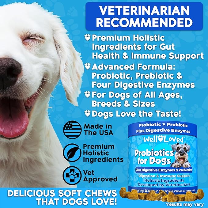 Probiotics for Dogs, Dog Probiotics and Digestive Enzymes, Made in USA, Vet Developed, Dog Probiotic Chews with Prebiotics, Diarrhea Treatment, for Itchy Skin, Gut Health & Gas Relief