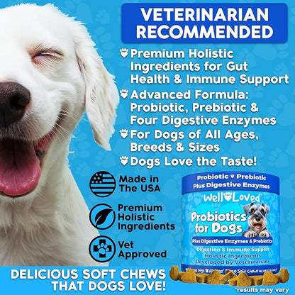 Probiotics for Dogs, Dog Probiotics and Digestive Enzymes, Made in USA, Vet Developed, Dog Probiotic Chews with Prebiotics, Diarrhea Treatment, for Itchy Skin, Gut Health & Gas Relief