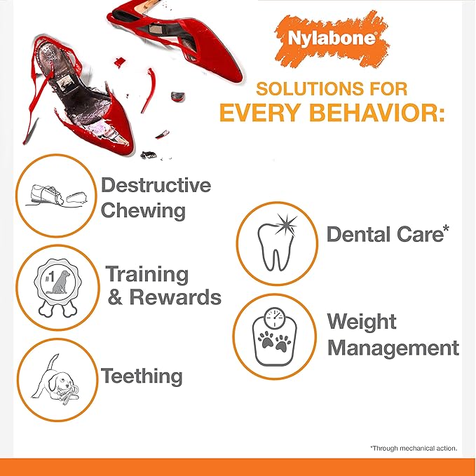 Nylabone Puppy Power Chew Toy - Tough and Durable Puppy Chew Toy for Teething - Puppy Supplies - Beef Broth & Vegetable Flavor, Small (1 Count)
