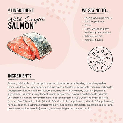 The Honest Kitchen Grain Free Minced Salmon & Cod in Fish Broth Gravy Wet Cat Food, 2.8 oz x12