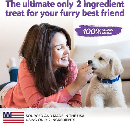 Grilled Bison & Pumpkin All Natural Dog Treats - Made in USA, Grain Free Dog Treats, Human-Grade, Lean Treats Dogs Love - No Fillers or Preservatives, 2 Pack, 4 oz Each