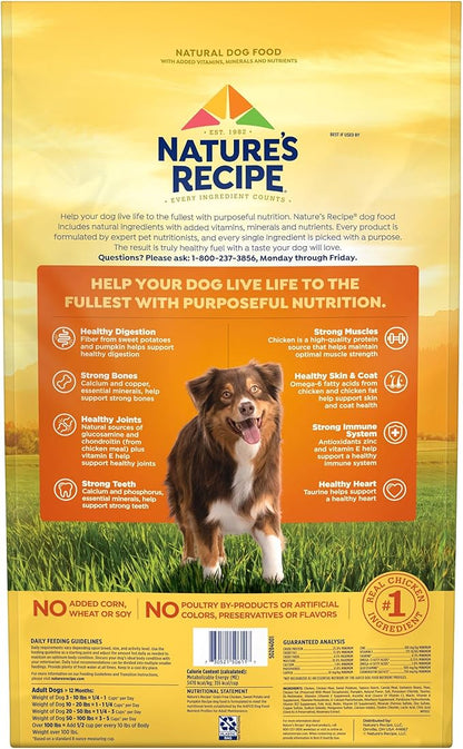 Nature’s Recipe Grain Free Large Breed Chicken, Sweet Potato & Pumpkin Recipe Dry Dog Food, 24 lb. Bag