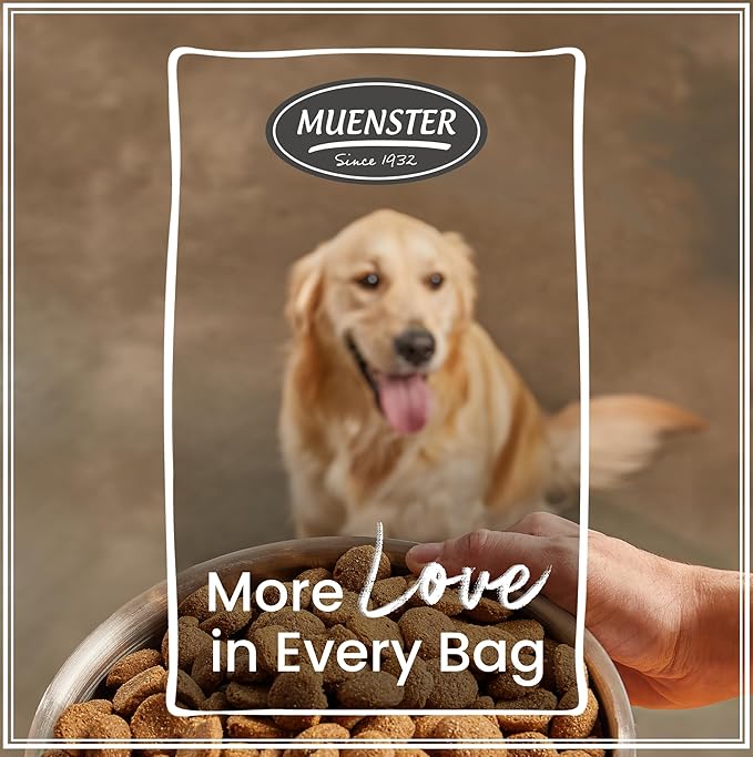 Muenster Ancient Grains Dog Food (4lb) - Chicken & Pork Flavored Dry Dog Food for Large Dogs - Gluten Free, Non-GMO High Protein Dog Food - Healthy Digestive Large Breed Dog Kibble