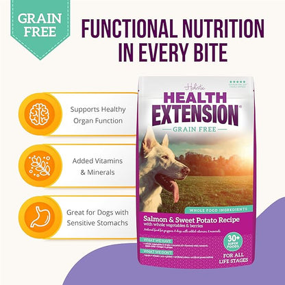 Health Extension Dry Dog Food, Natural Food with added Vitamins & Minerals, Suitable for All Puppies, Grain Free, Salmon & Sweet Potato Recipe with Whole Vegetable & Berries (1 Pound)