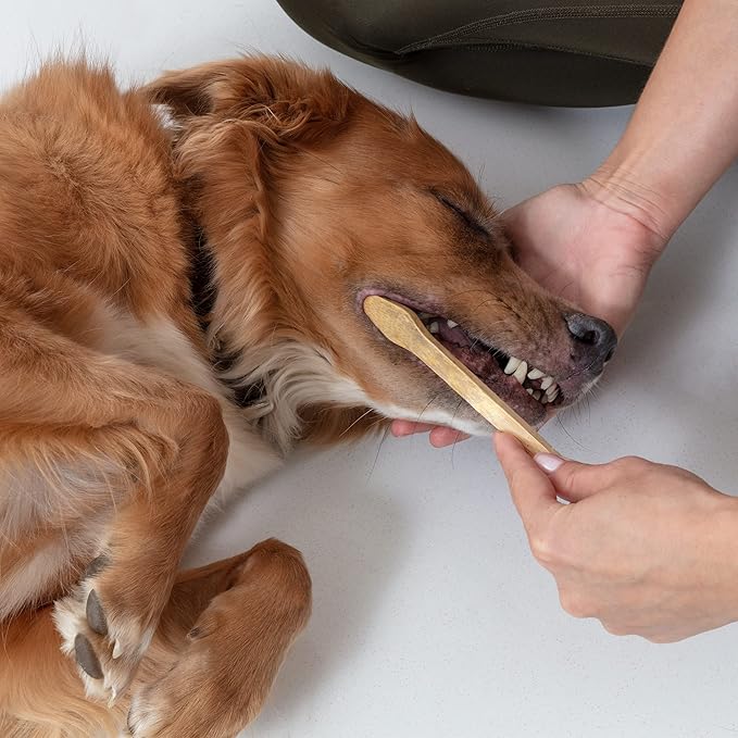 Dog Toothbrush I 4-Pack Two Sided Bamboo Toothbrush for Small and Large Dogs & Cats I Soft Bristles Gentle Pet Toothbrush for Easy Dog Teeth Brushing & Dental Care