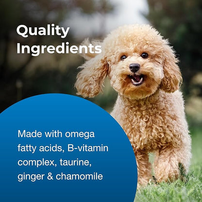 Pet-Ag Bene-Bac 9-10 oz Powder - Prebiotic and Probiotic Supplement for Dogs 12 Weeks and Older - Provides Nine Multifunctional Benefits