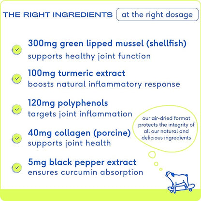 Native Pet Relief - Anti Inflammatory for Dogs | Turmeric + Polyphenols + Green Lipped Mussels for Dogs | Natural Relief for Dogs | Best Dog Arthritis Supplement & Dog Joint Pain Relief | 120 Chews