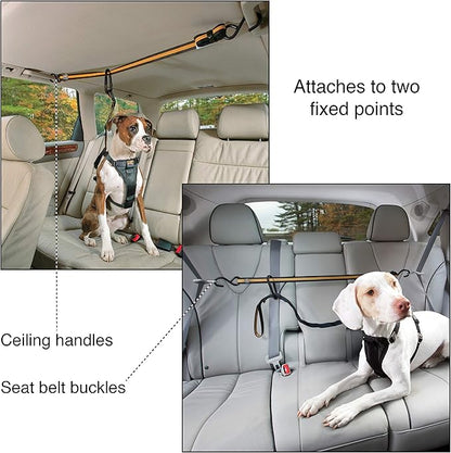Kurgo Auto Zipline for Dogs, Adjustable Dog Safety Belt Leash, Pet Seat Belt Tether, Reduce Distracted Driving, includes Dog Leash & Carabiner Clips, 6 feet