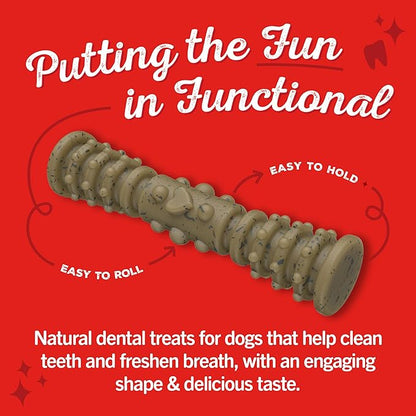 Stella & Chewy's Dental Delights with Freeze-Dried Chicken - Medium Dental Treats for Dogs, Single Serve