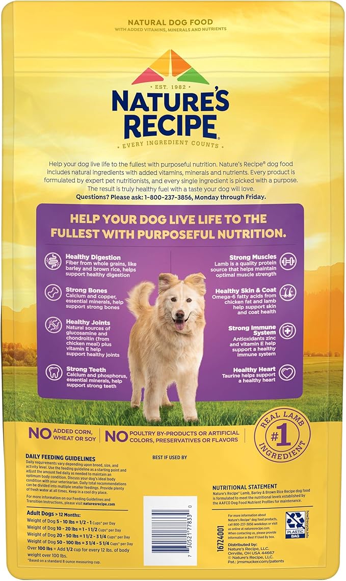 Nature′s Recipe Lamb, Barley & Brown Rice Recipe Dry Dog Food, 4 lb. Bag