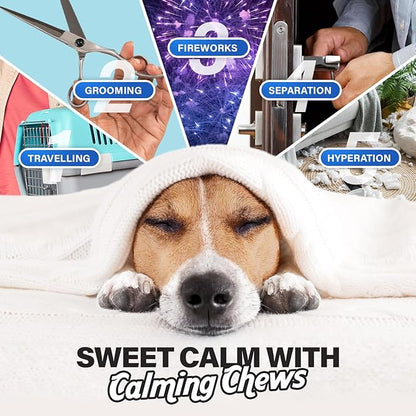 Charlie & Buddy Calming Chews for Dogs, Dog Anxiety Relief, Promote Relaxation, Dog Calming Chews with Melatonin for Dogs, Chamomile, Magnesium Citrate, 90 Soft Chews, Beef Liver Flavor