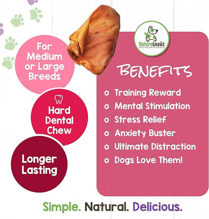 Nature Gnaws Pig Ears for Dogs - Premium Natural Pork Dental Chews - Thick Long Lasting Dog Chew Treats for Aggressive Chewers - Rawhide Free 8 Count (Pack of 1)